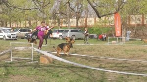 Рабочие суки 4