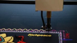 Richpeace Компьютеризированная вышивальная машина смешанной синели