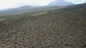 Покоряем самый высокий вулкан в Африке . Килиманджаро с миллионерами . OskolkovTravel .