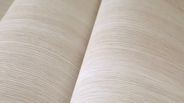 Декор межкомнатной двери Bianco Veralinga смотреть онлайн