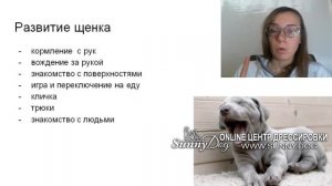 Воспитание и дрессировка щенка 2, 3 месяца . Что делать с щенком в 2-3 месяца? как учить