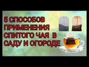 5 способов применения спитого чая в саду и огороде.mp4