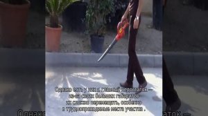 Воздуходувка аккумуляторная