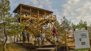 Национальный парк _Куршская коса_