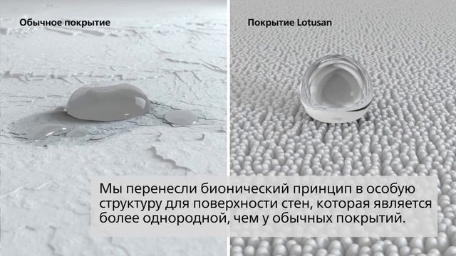 Sto Lotusan. Чистый фасад благодаря Эффекту Лотуса смотреть онлайн