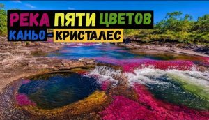 Кристальная река. Река пяти цветов-Каньо-Кристалес. Caño Cristales.