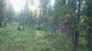 поход на избу с дочерью  озёрная рыбалка