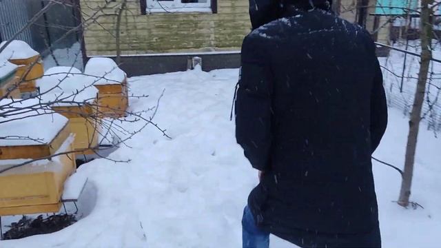 ход зимовки. Племенной материал. смотреть онлайн