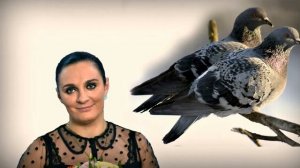 Е Ваенга А  Малинин  --  "Две души"