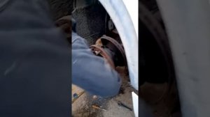 DAF ступечная гайка снятие ступецы  для замены блок  подшипника  0966164980