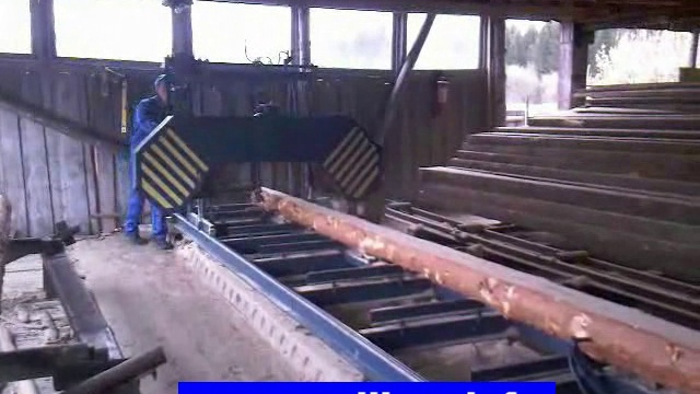  ленточная пилорама горизонтальная бизон-02