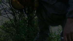 Маленький рой... Ради маленького эксперимента... 13.07.18. ПЧЕЛОВОДСТВО С НУЛЯ. КАК Я ЭТО ВИЖУ...