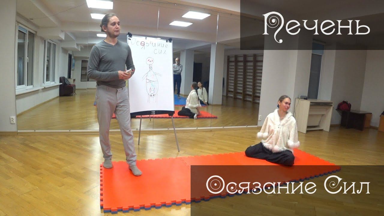 Качества Печени