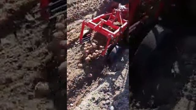 картофелекопалка