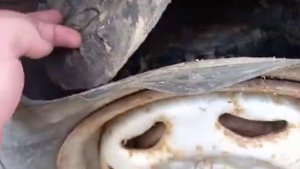 Обзор на BYD FLYER