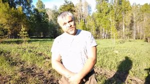 посадка мордовника