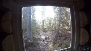 80 дней в тайге. Пушной промысел. Видеодневник. Часть 7