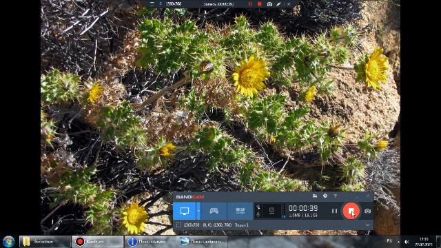 ванна с повышением температуры смотреть онлайн