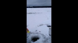 Карбоновый кивок Игра и поклёвки на безмотылку