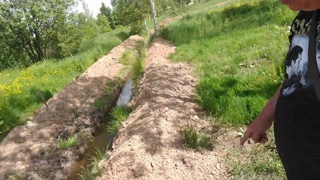 2017 год // Результаты попыток осущения участка путем  рытья траншеи по периметру участка