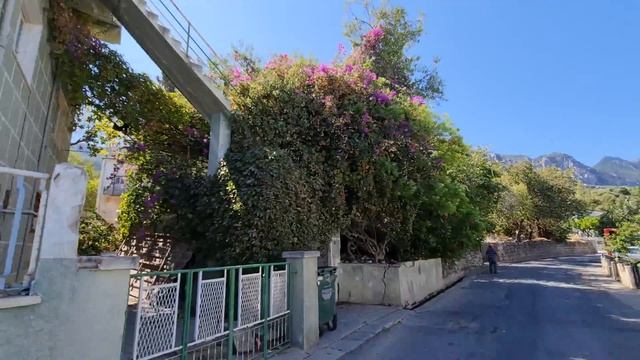 Выбираем лучший район Северного Кипра | Лапта | Жизнь на Кипре
