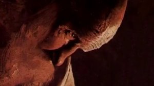 О добродетелях. Целомудрие