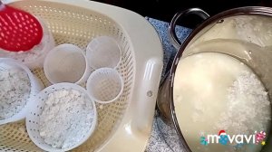 Сыр Халуми из козьего молока?