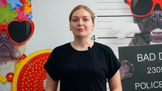 Зарабатывай на видео больше! Бесплатный видеохостинг Яндекс.