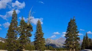 Пришла прибраться на могилу своей мамы, а когда раздались шаги сзади обернувшись впала в ступор