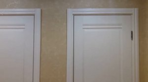 Двери Profil Doors 1x эш вайт установка