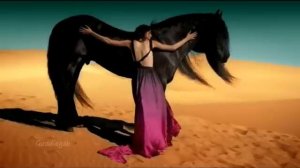 Sting - Desert Rose original song