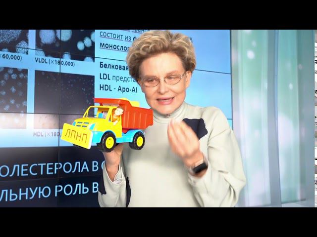 Патофизиология атеросклероза (лектор Е.В.Малышева)