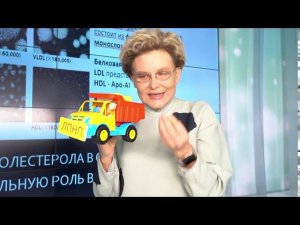 Патофизиология атеросклероза (лектор Е.В.Малышева)