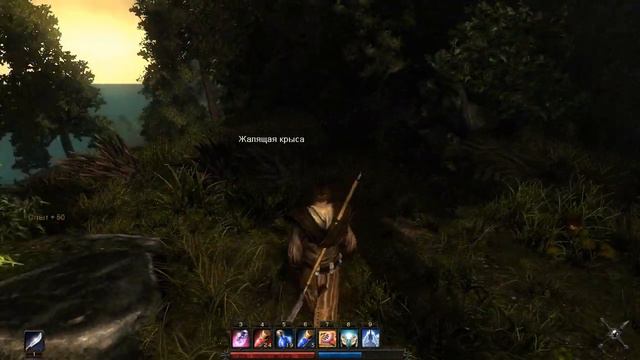 (44) Развалины на западе - Risen смотреть онлайн