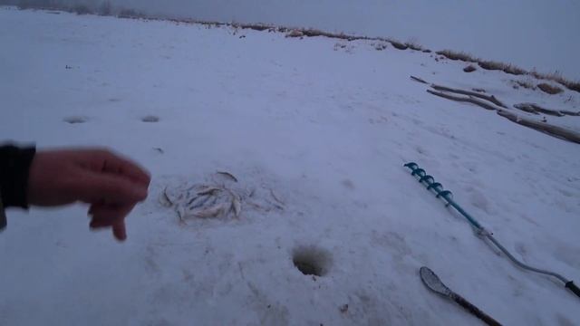 Приехал за окунем, наловил чебаков. Вечерний клёв.#зимняярыбалка#рыбалка #рыбалканаоби