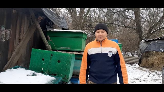 ИЗ КАКОГО МАТЕРИАЛА ВЫБРАТЬ УЛЕЙ. ДЕРЕВО, ПЕНОПЛАСТ или ПЕНОПОЛИУРЕТАН смотреть онлайн