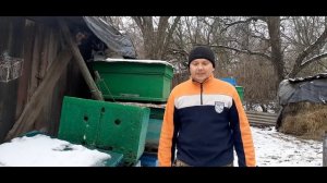 ИЗ КАКОГО МАТЕРИАЛА ВЫБРАТЬ УЛЕЙ. ДЕРЕВО, ПЕНОПЛАСТ или ПЕНОПОЛИУРЕТАН