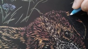 Скретчинг гравюра 2023 год