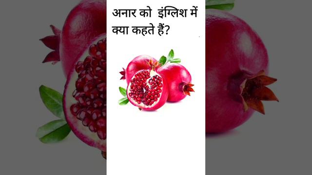 अनार को इंग्लिश में क्या कहते हैं? #english #viral