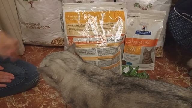 ЛЕЧЕБНЫЙ КОРМ ДЛЯ КОШЕК, ОБЗОР ПОКУПОК ДЛЯ КОШЕК смотреть онлайн