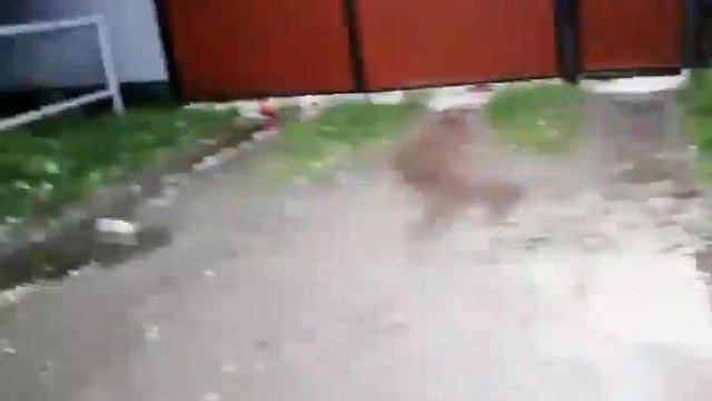Град в Ст. Зеленчукской