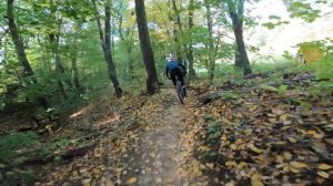 Black Diamonds - Golden Leaves | Mountain Creek Bike Park