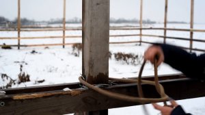 как привязать лошадь