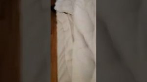 Санаторий Ай-Петри номер улучшенный корпус 10 #айпетри #крым #санаторийкрыма