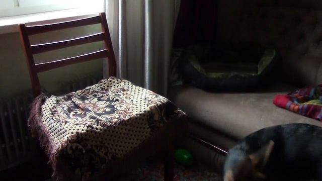 СПАСИБО!💖ПРИМЕРКА🎽БЛИНЫ🥞ИЗ ВОДЫ
