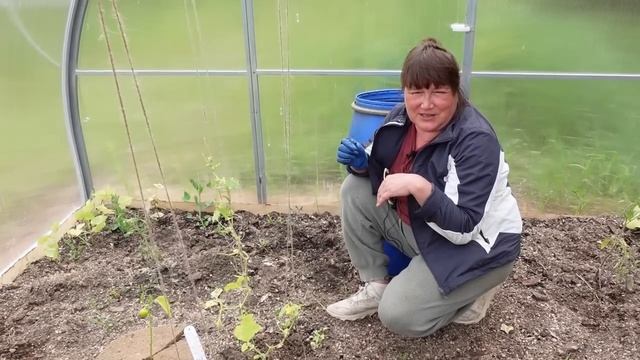 Как правильно поливать растения на участке смотреть онлайн