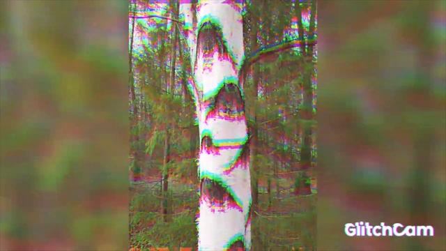 CITY sketches ?️?️?Живая графика - ??️??️?️глаза деревьев- силуэт листьев Городские зарисовки смотреть онлайн