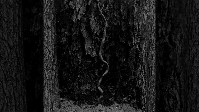 Uva Ursa смотреть онлайн