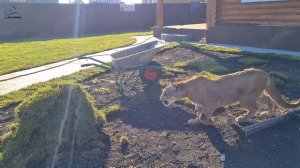 Дождь из под земли!?!