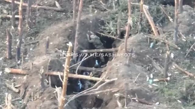 Невероятный подвиг Александра Мальцева, который в одиночку захватил опорник врага и взял пленных